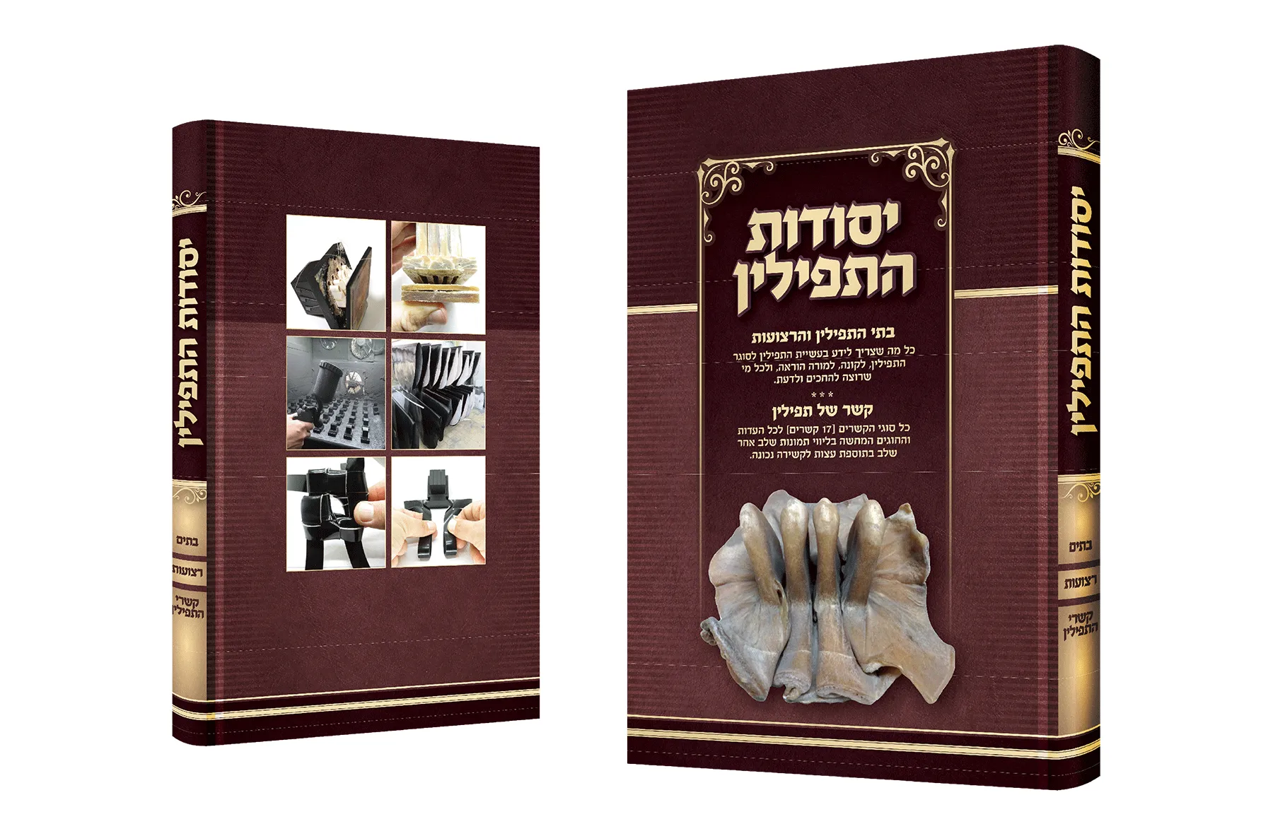 ספר יסודות התפילין